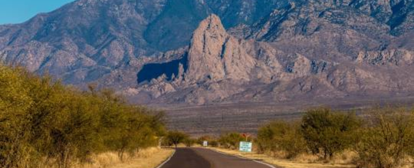 Wildcat Tree Service serving Green Valley