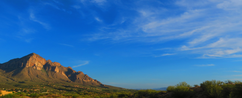 Wildcat Tree Service Serving Oro Valley, AZ