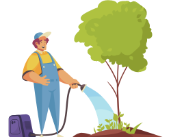 tree-maintenance-tips