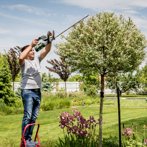 Tree Services Oro Valley